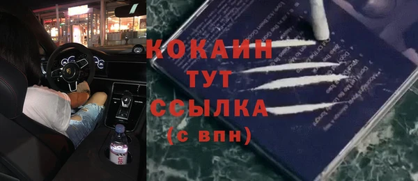 твердый Алексин