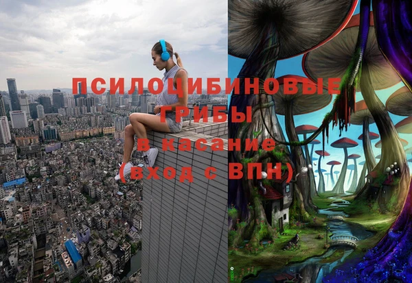 твердый Алексин