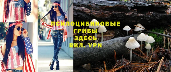 прущие крисы Алексеевка