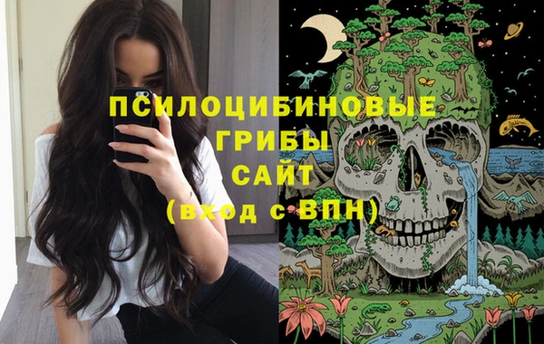твердый Алексин